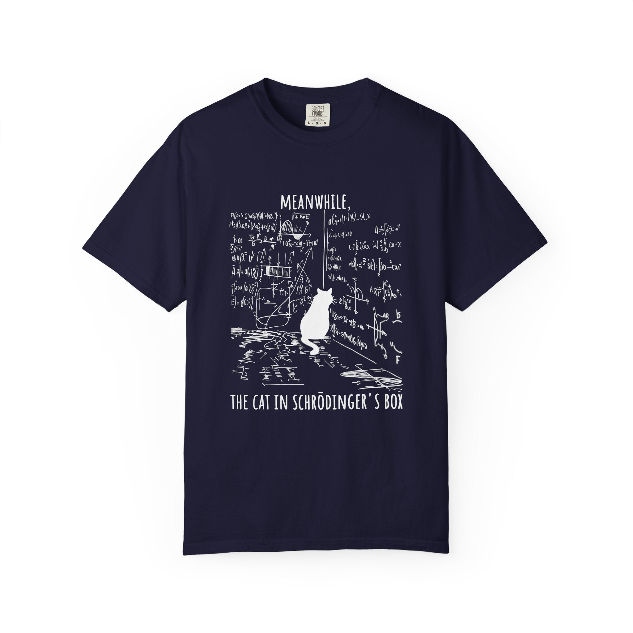 Schrödinger's Cat T-Shirt — 'Meanwhile... The Cat in Schrödinger's Box' Graphic Tee