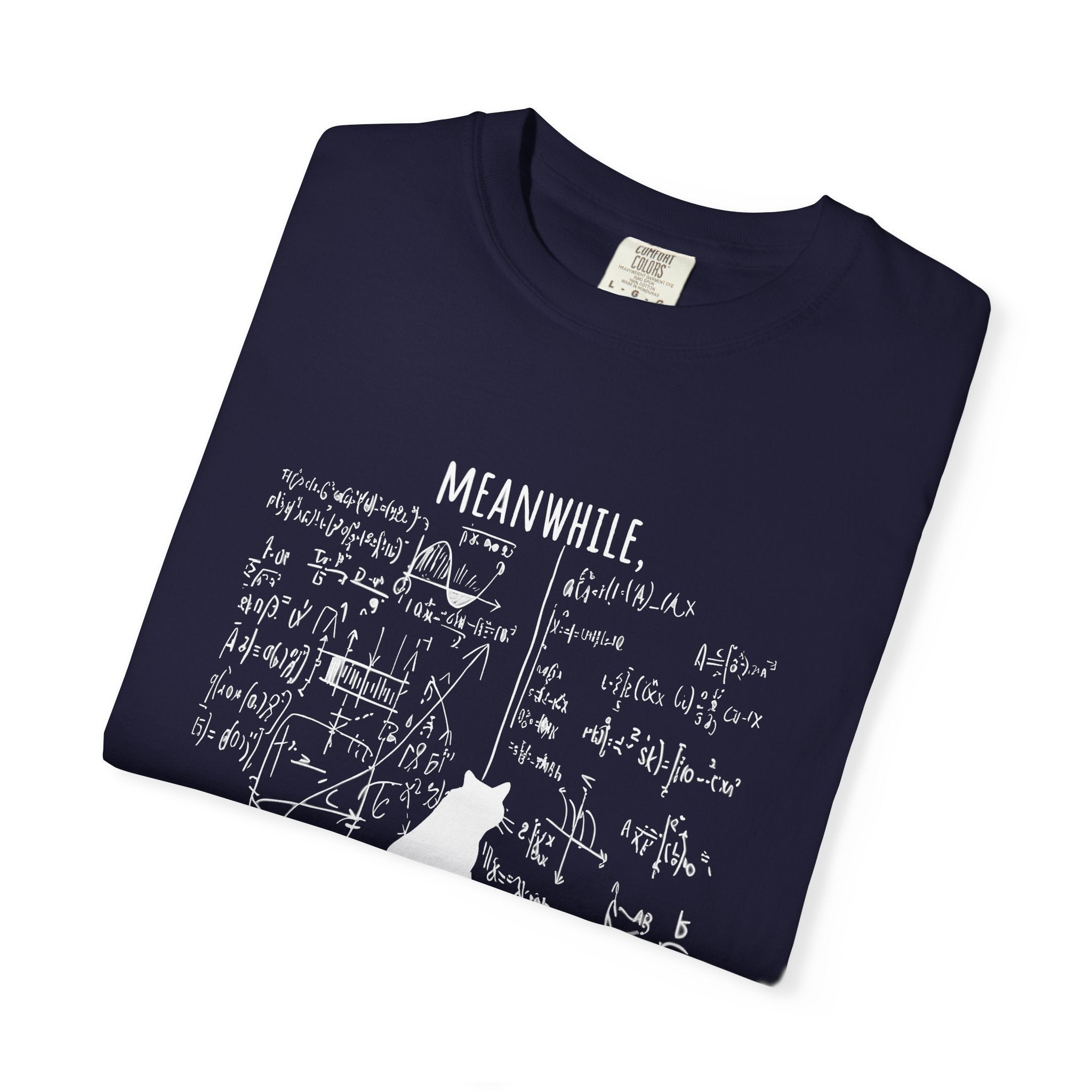 Schrödinger's Cat T-Shirt — 'Meanwhile... The Cat in Schrödinger's Box' Graphic Tee