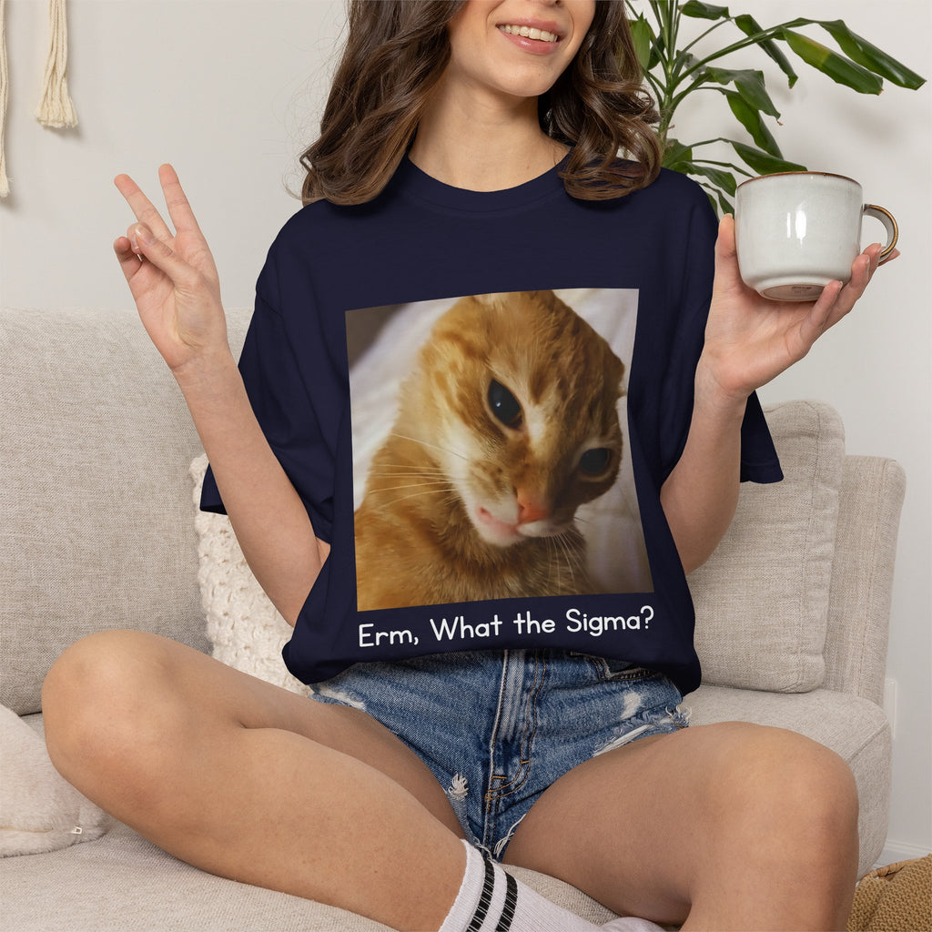Cat Meme T-Shirt — "Erm, What the Sigma?" Funny Ginger Cat Graphic Tee